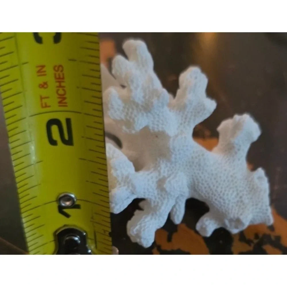 Natural Coral Specimen Trio For Home Décor 2